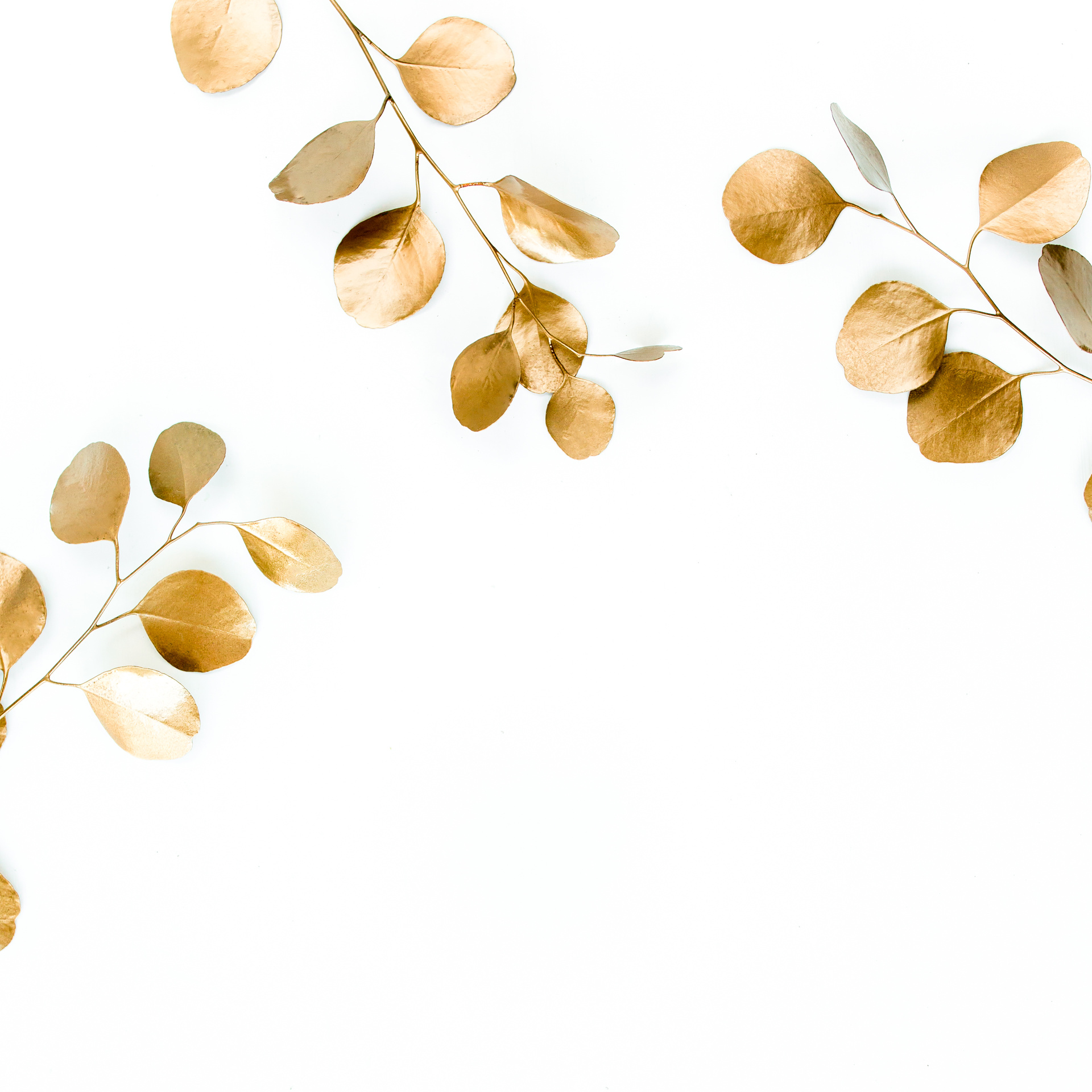 Gold Painted Leaves on White