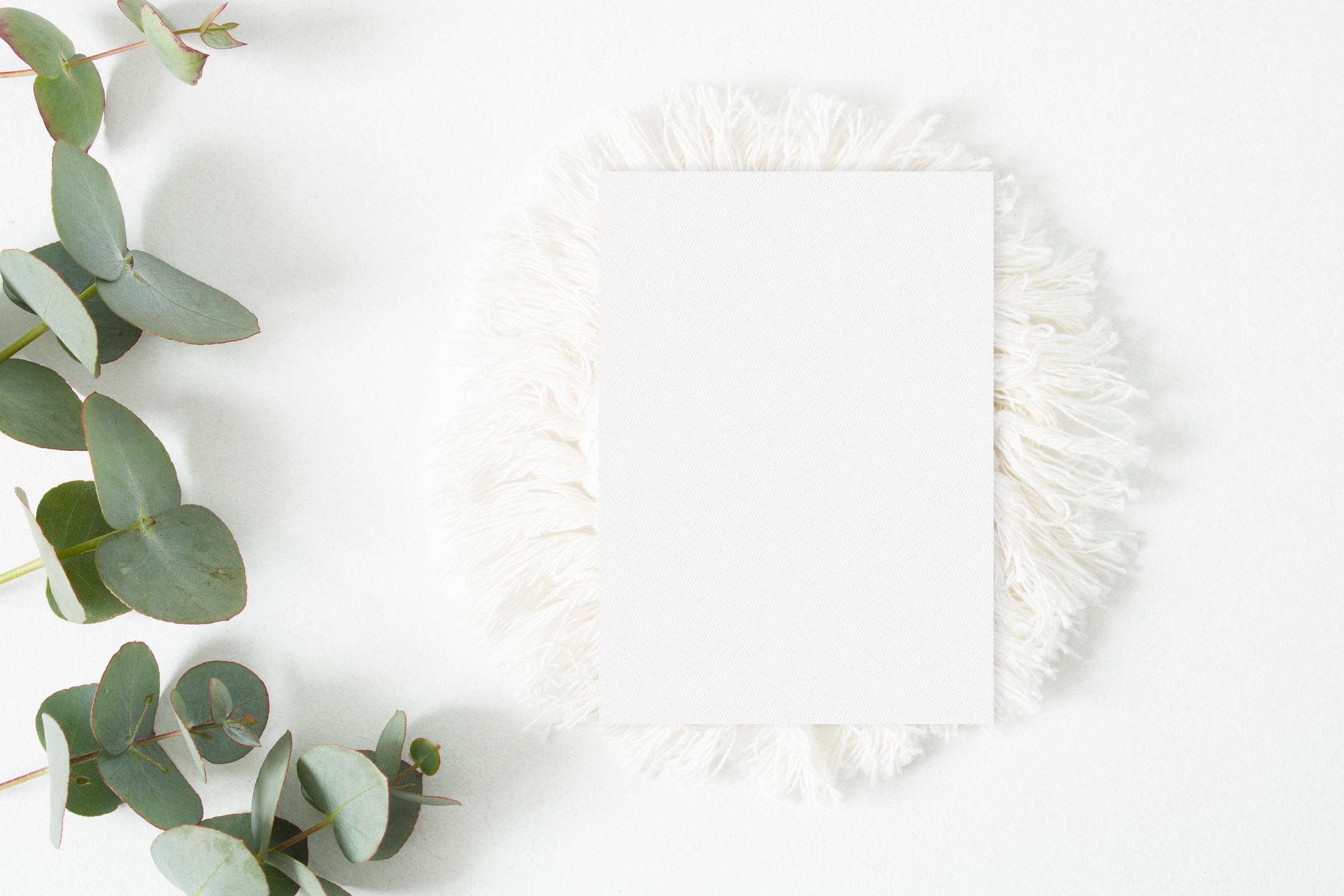 Minimalist wedding mockup card with eucalyptus leaves