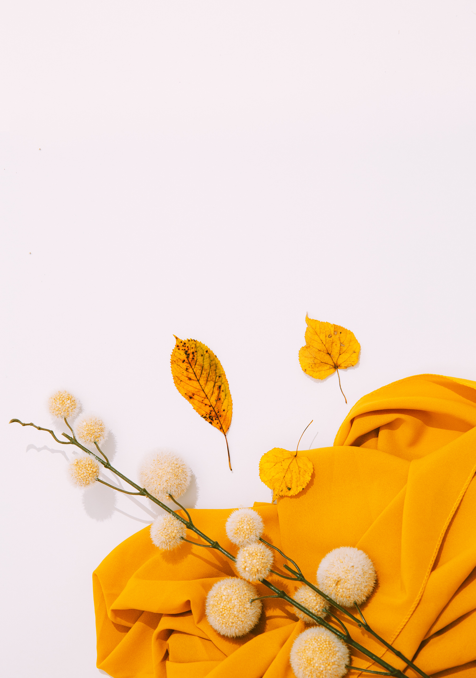 Fall Winter Minimalist Background Autumn Brunch Decor and Fabric